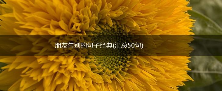 朋友告别的句子经典(汇总50句),第1张