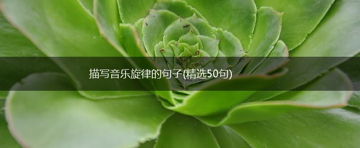 描写音乐旋律的句子(精选50句),第1张