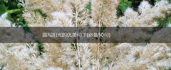 描写阳光的优美句子(必备50句),第1张