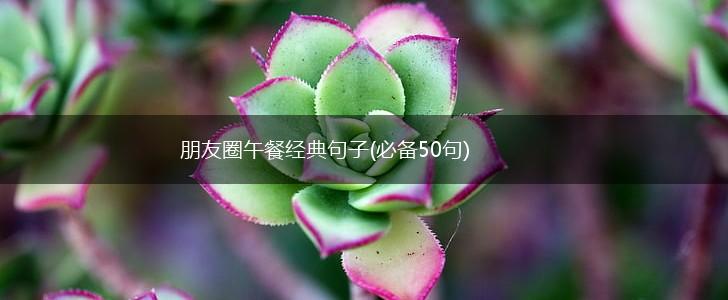 朋友圈午餐经典句子(必备50句),第1张