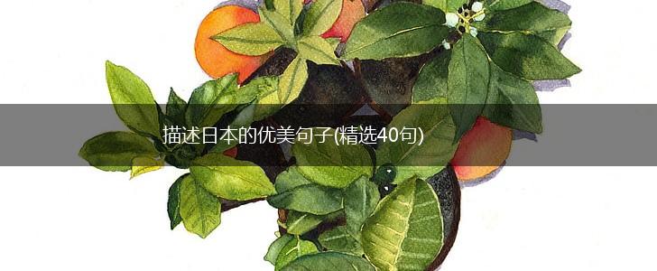 描述日本的优美句子(精选40句),第1张