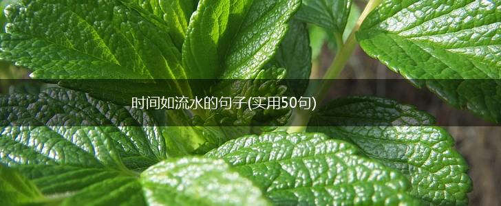 时间如流水的句子(实用50句),第1张