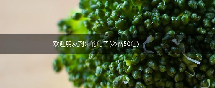 欢迎朋友到来的句子(必备50句),第1张