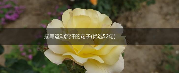 描写运动流汗的句子(优选52句),第1张
