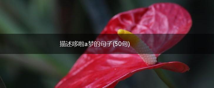 描述哆啦a梦的句子(50句),第1张 描述哆啦a梦的句子(50句),第1张