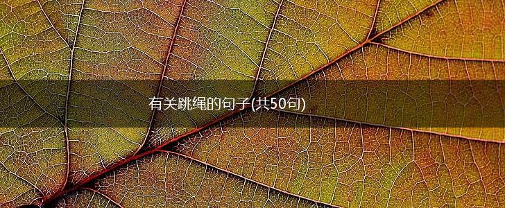 有关跳绳的句子(共50句),第1张