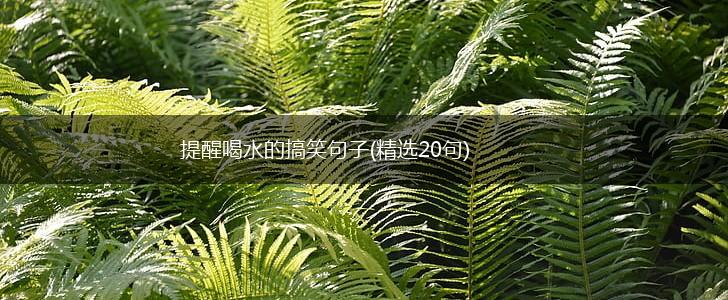 提醒喝水的搞笑句子(精选20句),第1张
