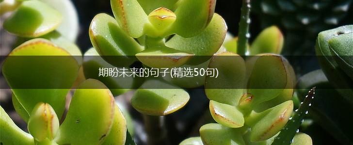 期盼未来的句子(精选50句),第1张