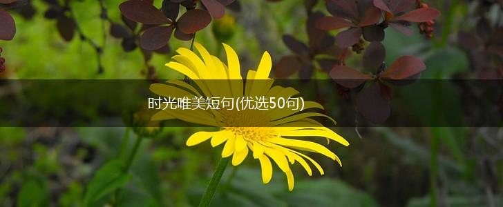 时光唯美短句(优选50句),第1张
