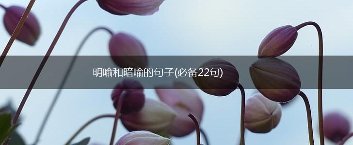 明喻和暗喻的句子(必备22句),第1张