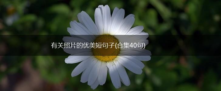 有关照片的优美短句子(合集40句),第1张