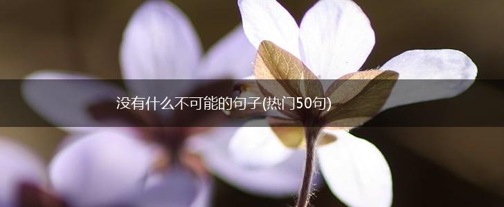 没有什么不可能的句子(热门50句),第1张