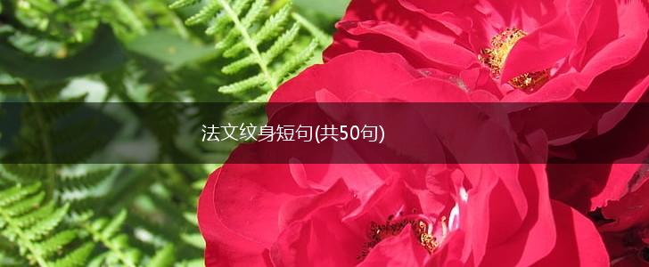 法文纹身短句(共50句),第1张