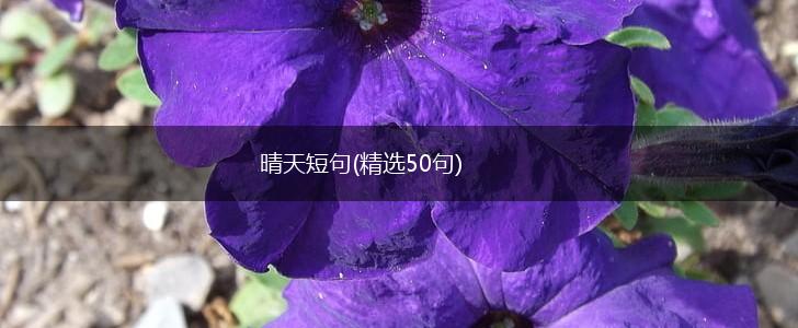 晴天短句(精选50句),第1张