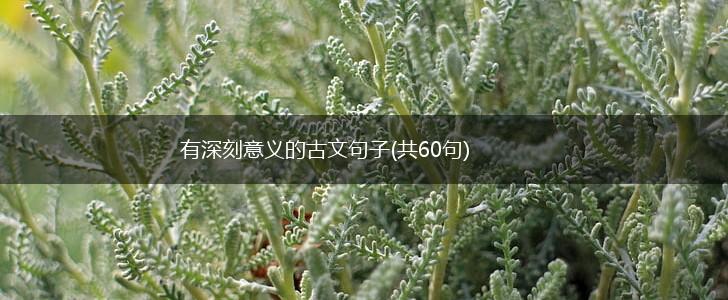 有深刻意义的古文句子(共60句),第1张