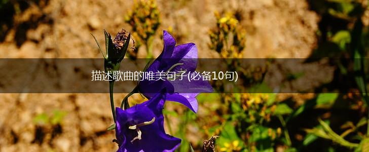 描述歌曲的唯美句子(必备10句),第1张