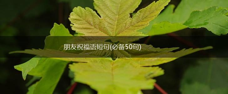 朋友祝福语短句(必备50句),第1张