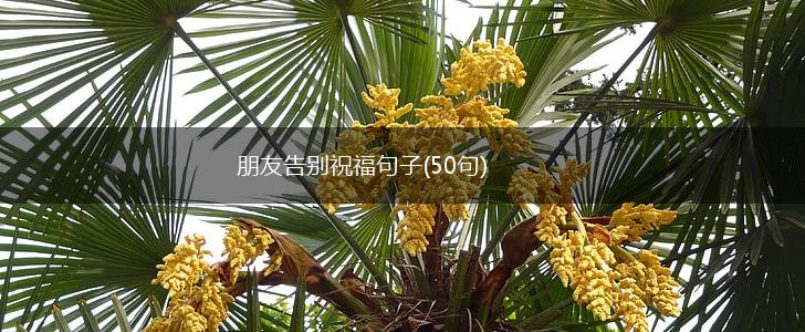 朋友告别祝福句子(50句),第1张