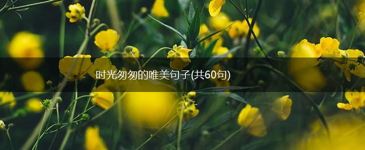 时光匆匆的唯美句子(共60句),第1张