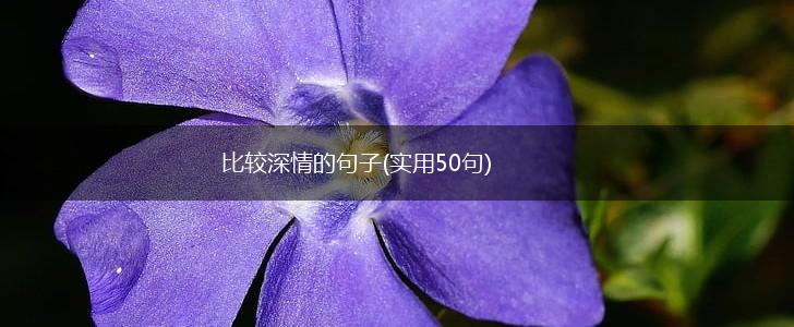 比较深情的句子(实用50句),第1张
