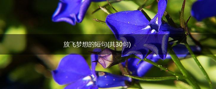 放飞梦想的短句(共30句),第1张