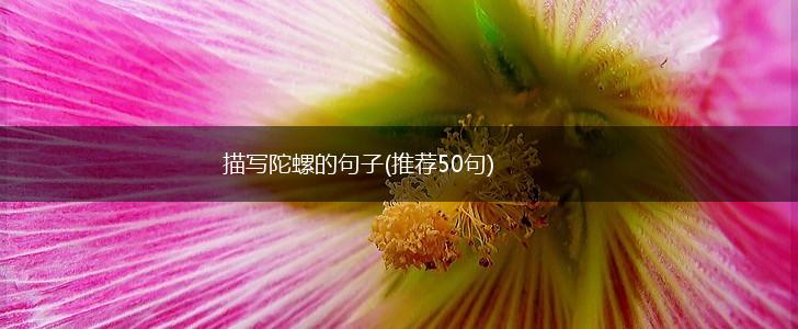 描写陀螺的句子(推荐50句),第1张