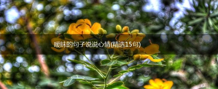 暧昧的句子说说心情(精选15句),第1张