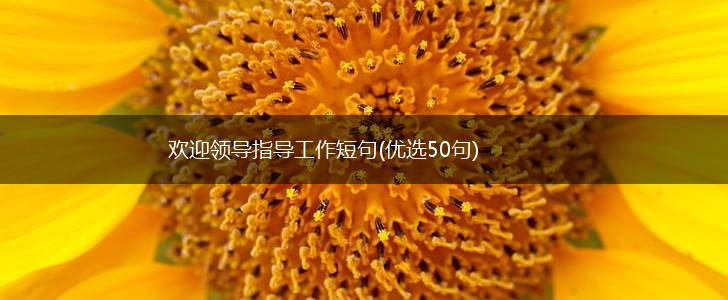 欢迎领导指导工作短句(优选50句),第1张