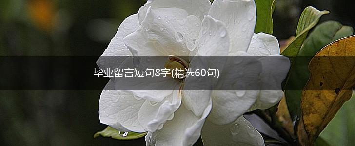 毕业留言短句8字(精选60句),第1张