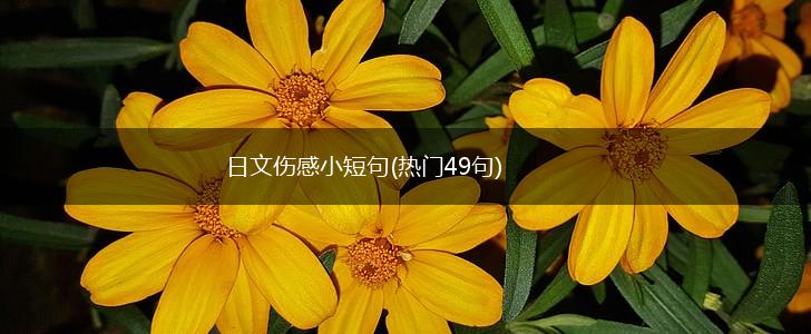 日文伤感小短句(热门49句),第1张