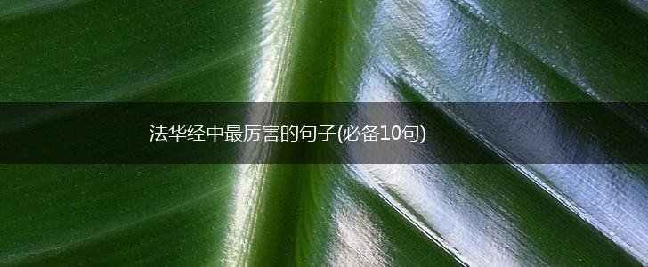 法华经中最厉害的句子(必备10句),第1张