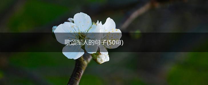 歌颂军人的句子(50句),第1张