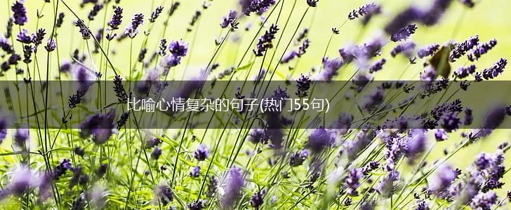 比喻心情复杂的句子(热门55句),第1张