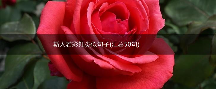 斯人若彩虹类似句子(汇总50句),第1张