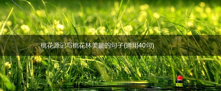 桃花源记写桃花林美景的句子(通用40句),第1张
