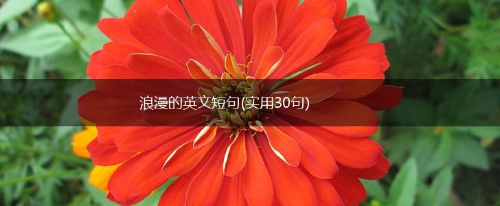 浪漫的英文短句(实用30句),第1张