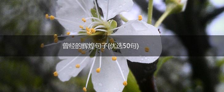 曾经的辉煌句子(优选50句),第1张