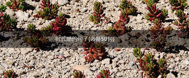 时代感的句子(必备50句),第1张