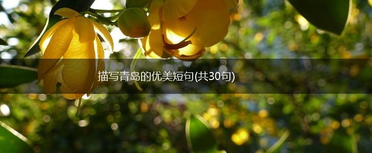 描写青岛的优美短句(共30句),第1张