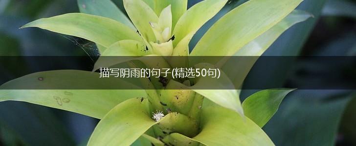 描写阴雨的句子(精选50句),第1张 描写阴雨的句子(精选50句),第1张