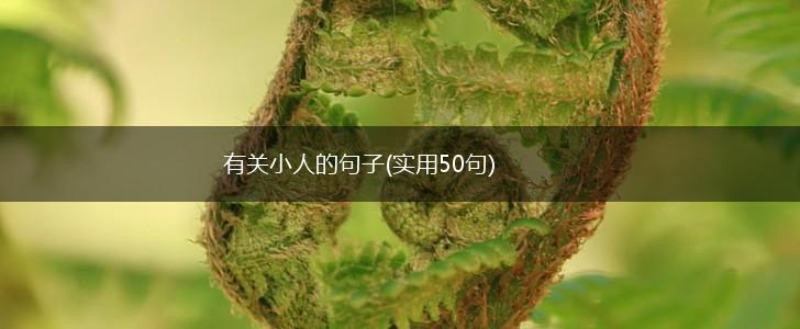 有关小人的句子(实用50句),第1张