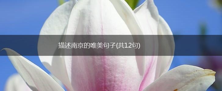 描述南京的唯美句子(共12句),第1张