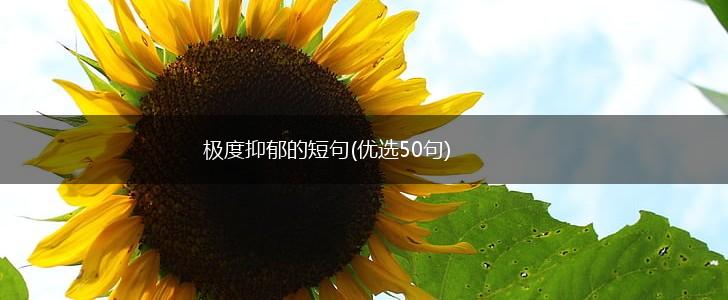 极度抑郁的短句(优选50句),第1张