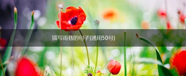 描写雨巷的句子(通用50句),第1张