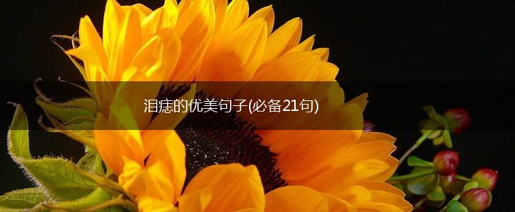 泪痣的优美句子(必备21句),第1张