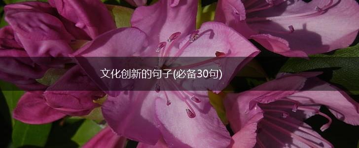 文化创新的句子(必备30句),第1张