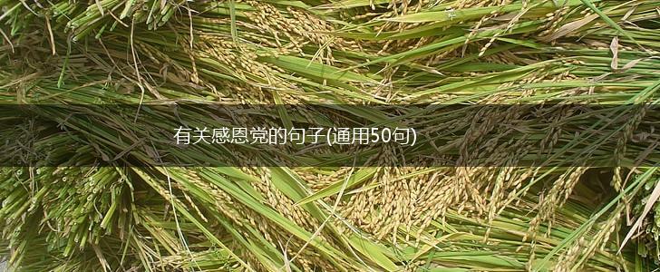 有关感恩党的句子(通用50句),第1张
