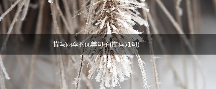 描写雨伞的优美句子(推荐51句),第1张
