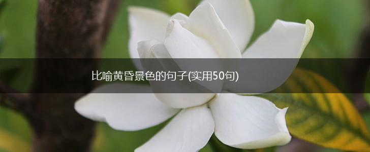 比喻黄昏景色的句子(实用50句),第1张