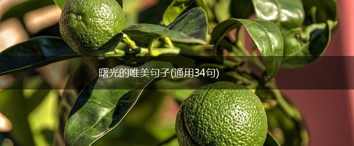 曙光的唯美句子(通用34句),第1张